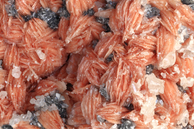 COL·LECCIONS:<br>Els nostres minerals