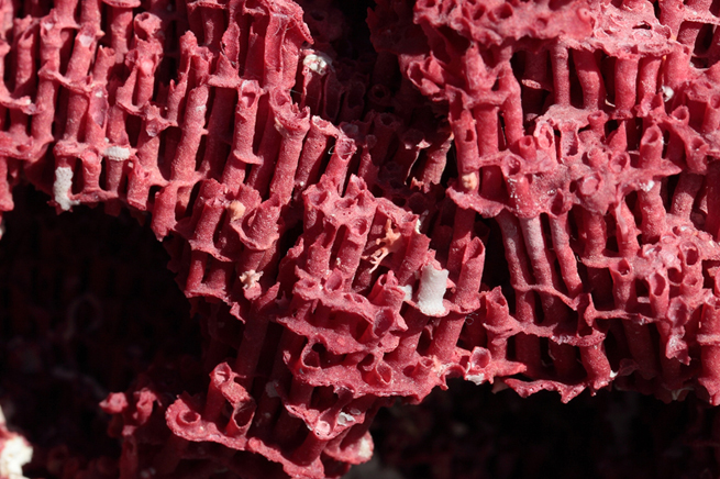 COL·LECCIONS:<br>Els nostres minerals