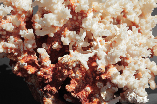 COL·LECCIONS:<br>Els nostres minerals