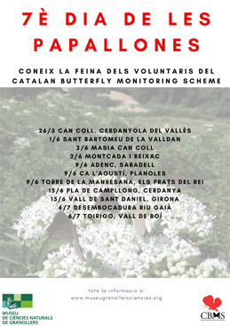  7th Butterfly Day in Planoles