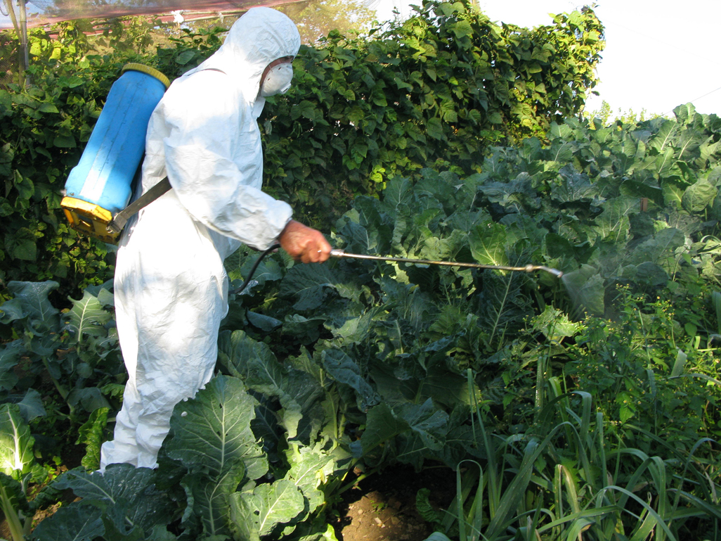 Planoles free of pesticides